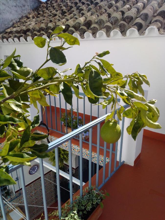La Puerta Azul Villa Bornos Exterior photo